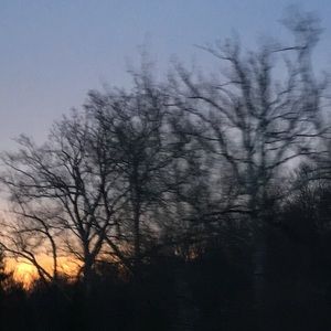 Meet your Posher, Audrey